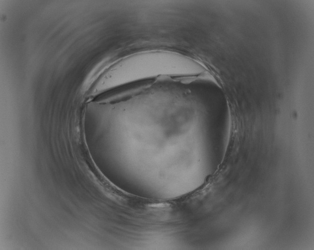 X0000068860053200605121927