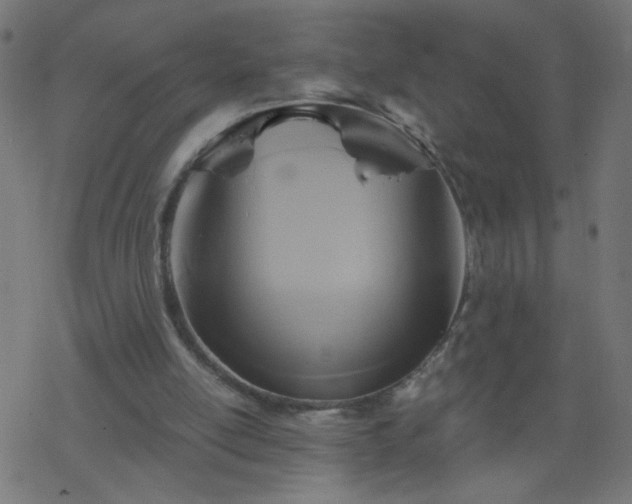 X0000068860054200605121927