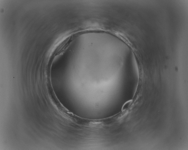 X0000068860055200605121927