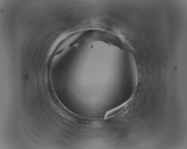 X0000068860056200605121927