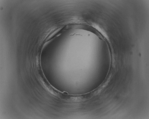 X0000068860057200605121927