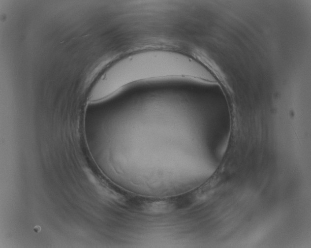 X0000068860058200605121927