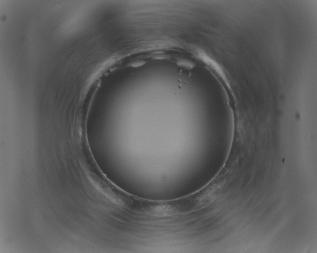 X0000068860059200605121927