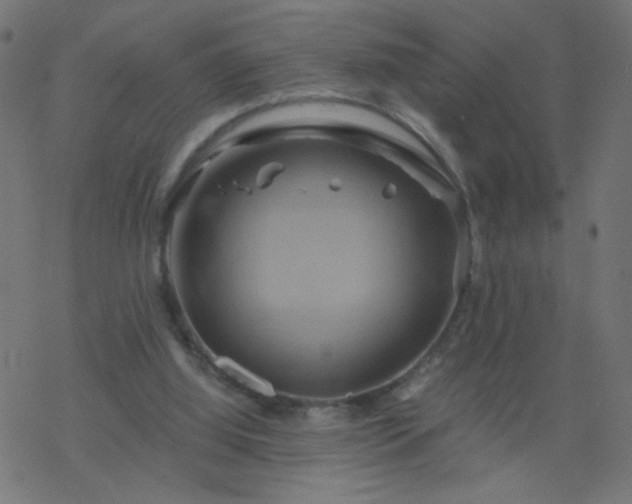 X0000068860060200605121927