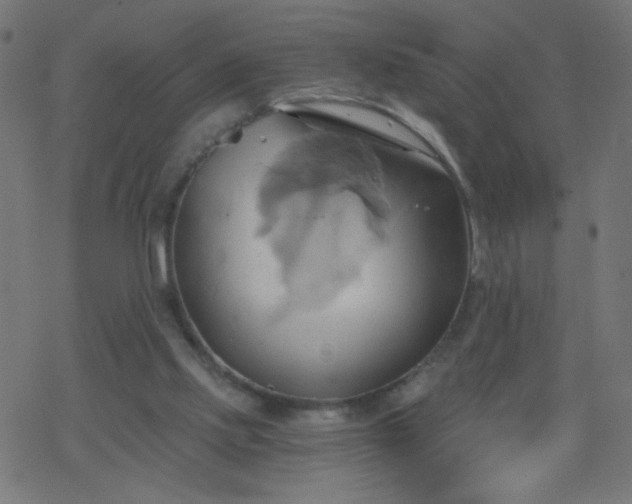 X0000068860061200605121927