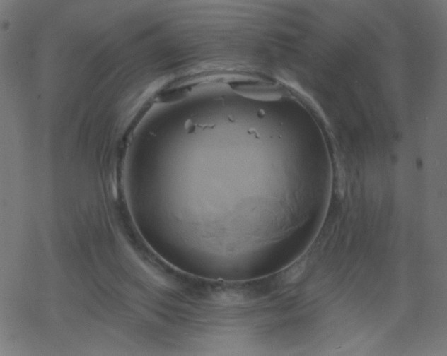 X0000068860062200605121927