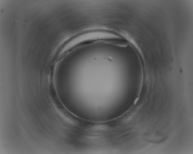 X0000068860063200605121927