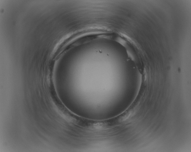 X0000068860064200605121927