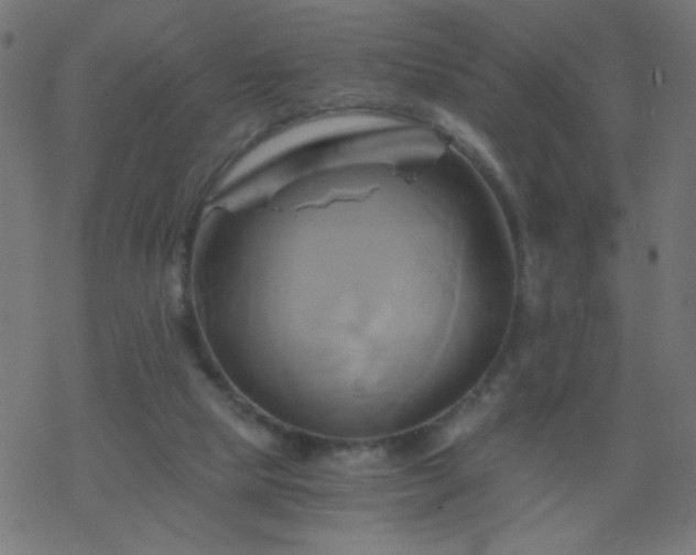 X0000068860065200605121928