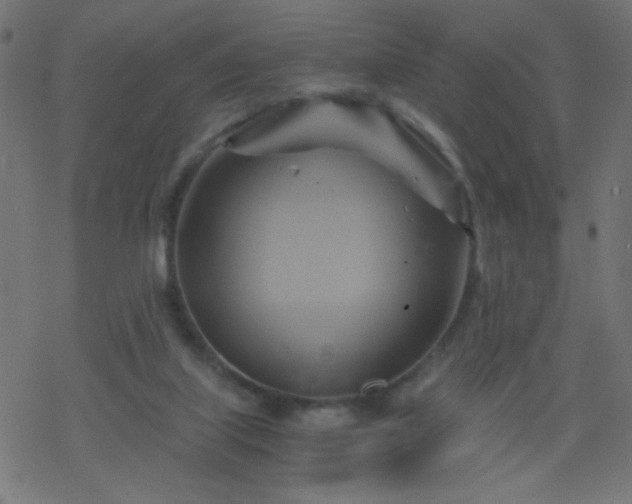 X0000068860067200605121928