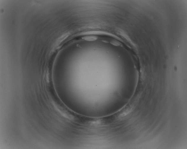 X0000068860068200605121928