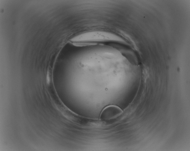 X0000068860069200605121928