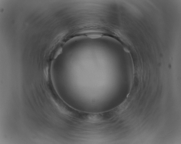 X0000068860070200605121928