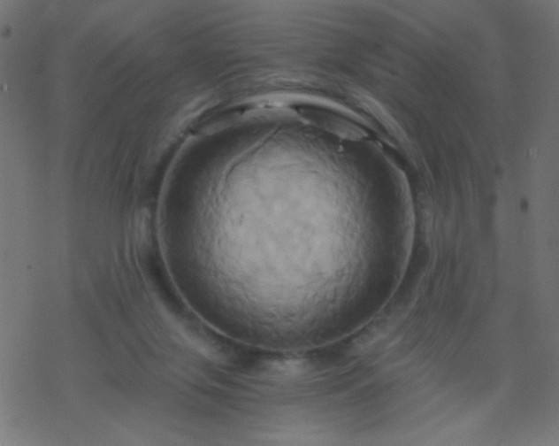 X0000068860071200605121928