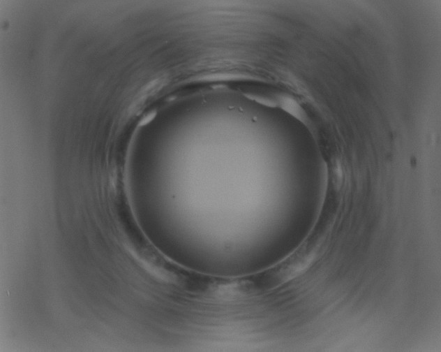 X0000068860072200605121928