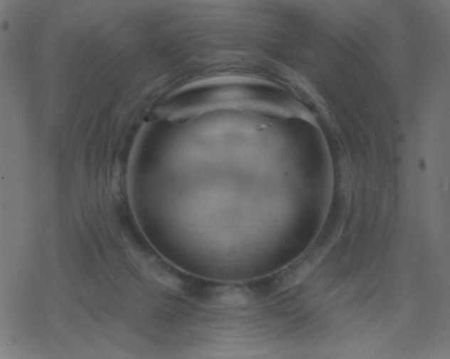 X0000068860073200605121928