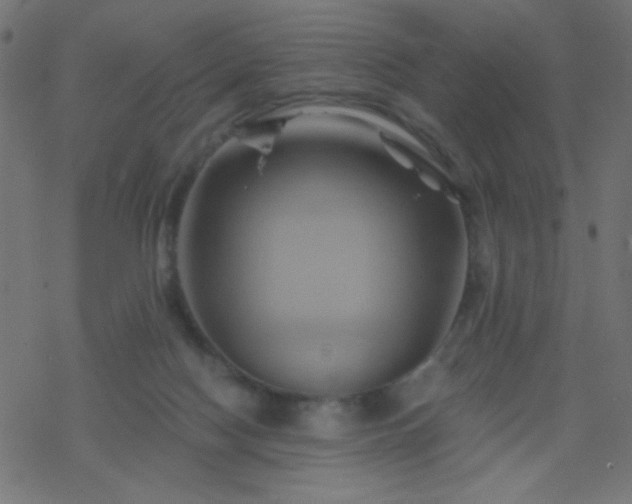 X0000068860074200605121928