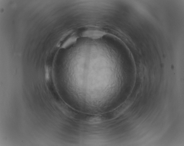 X0000068860075200605121928