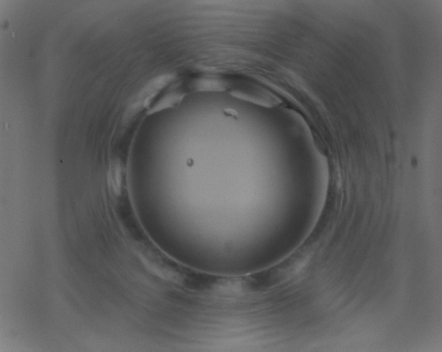 X0000068860076200605121928