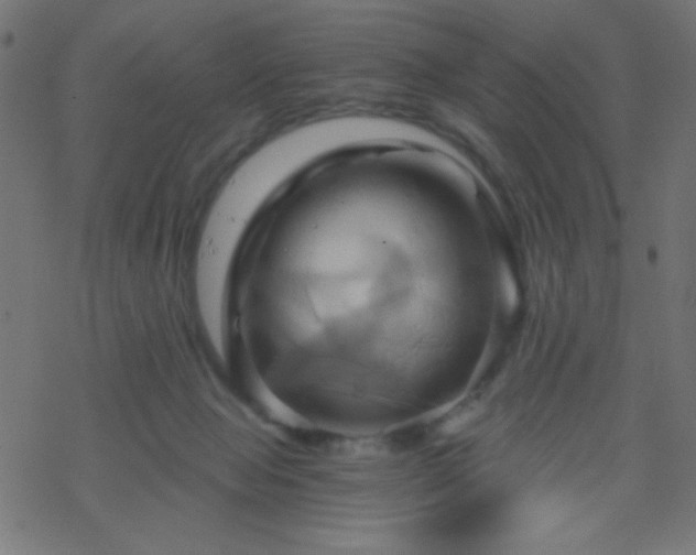 X0000068860077200605121928