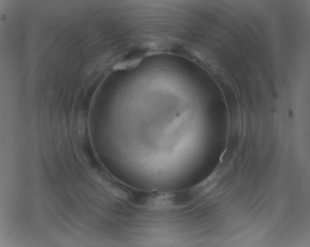 X0000068860078200605121928