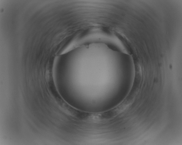 X0000068860080200605121928