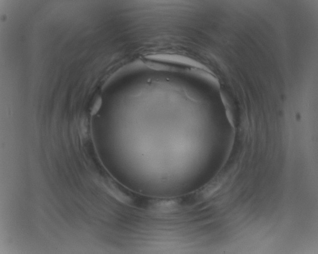 X0000068860081200605121928