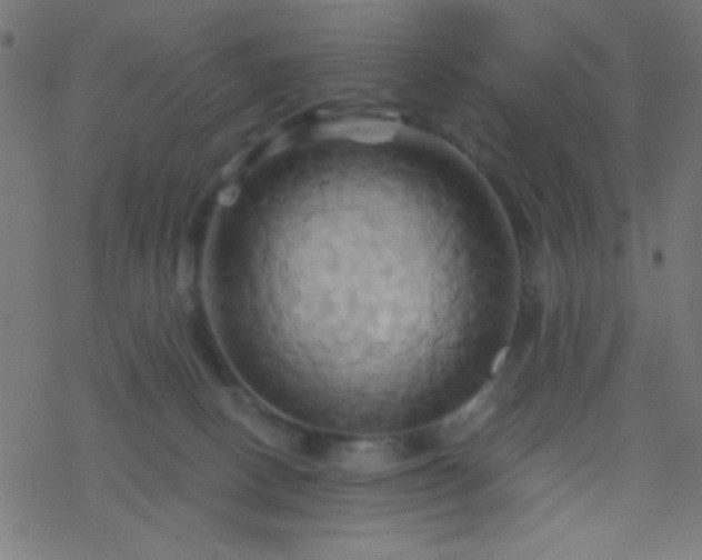 X0000068860082200605121928