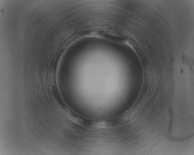 X0000068860083200605121928