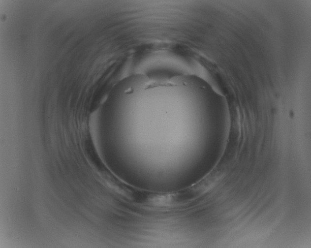 X0000068860084200605121928