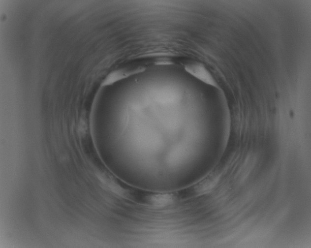 X0000068860085200605121928