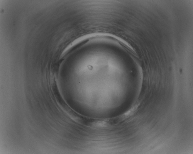 X0000068860086200605121928