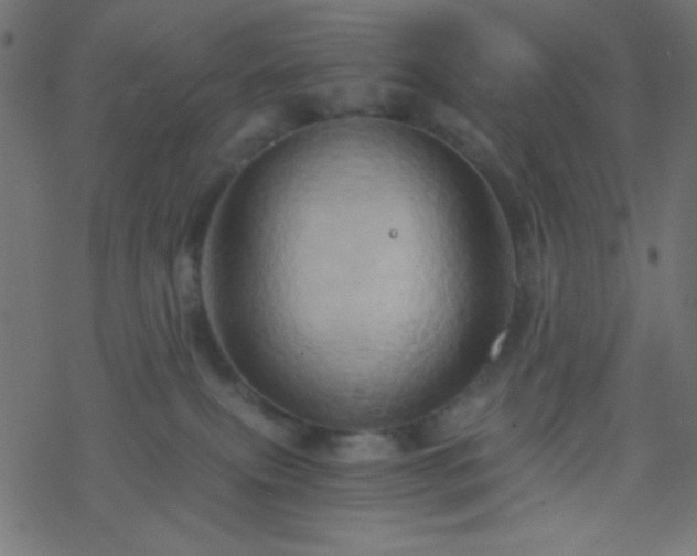 X0000068860087200605121928