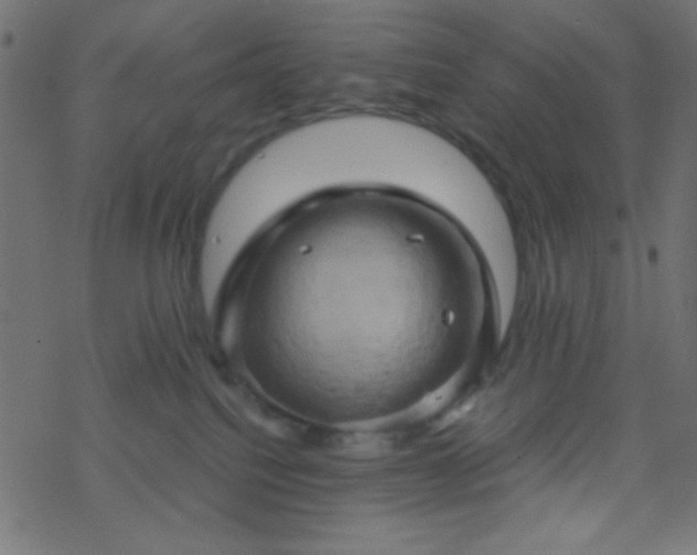 X0000068860088200605121928