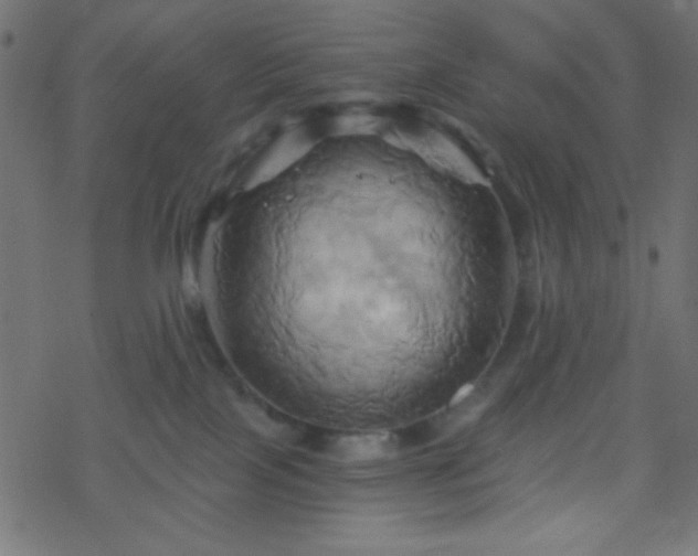 X0000068860089200605121928