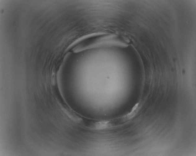 X0000068860090200605121928