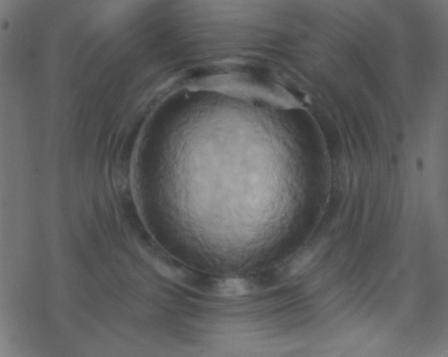 X0000068860091200605121928