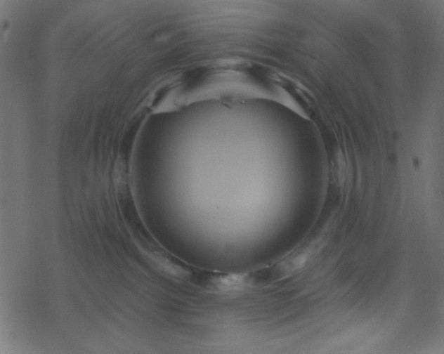 X0000068860092200605121928