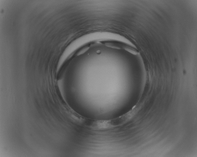 X0000068860093200605121928