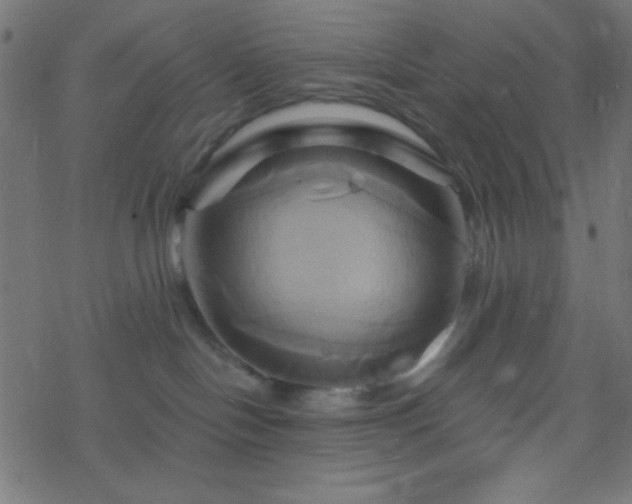 X0000068860094200605121928