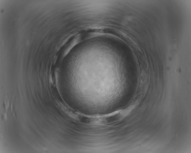 X0000068860096200605121928