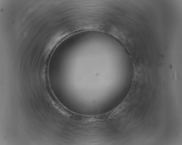 X0000068860098200605121927