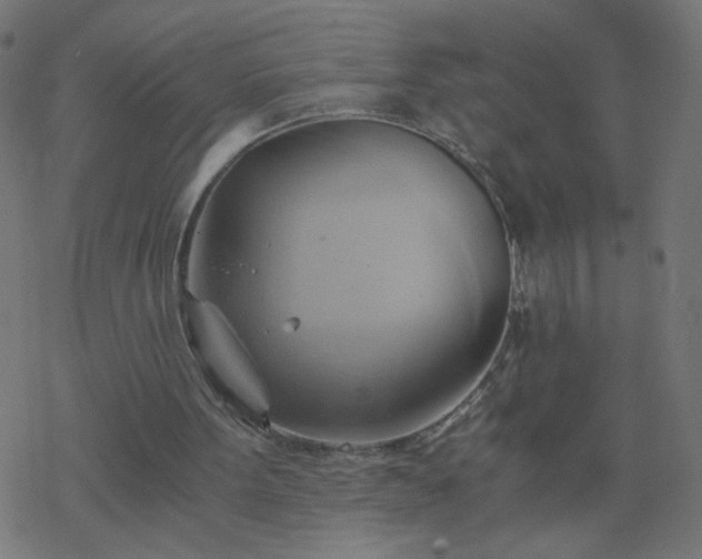 X0000068860099200605121927