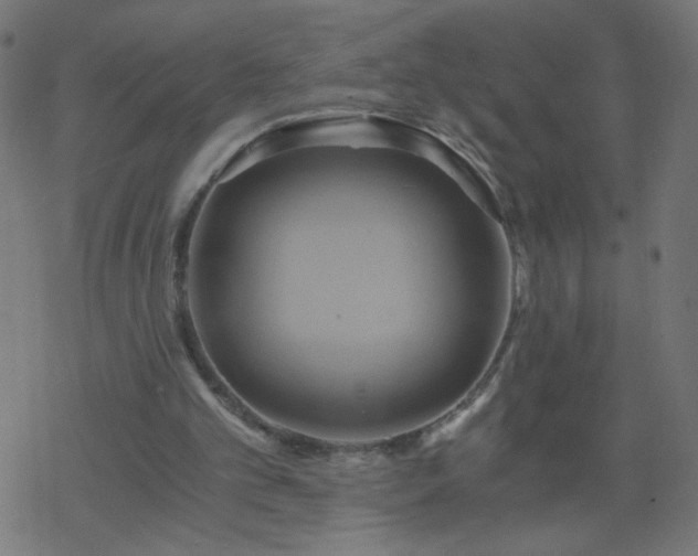 X0000068860101200605121927