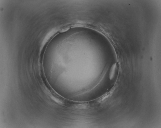 X0000068860102200605121927