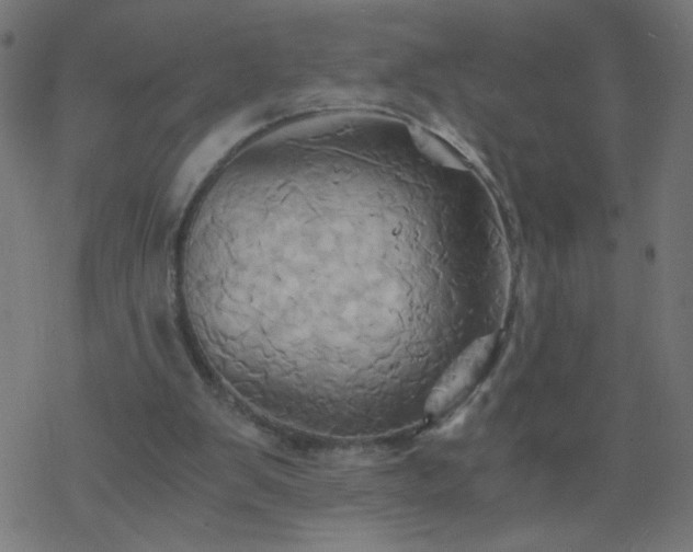 X0000068860103200605121927