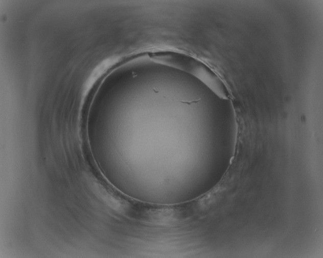 X0000068860104200605121927