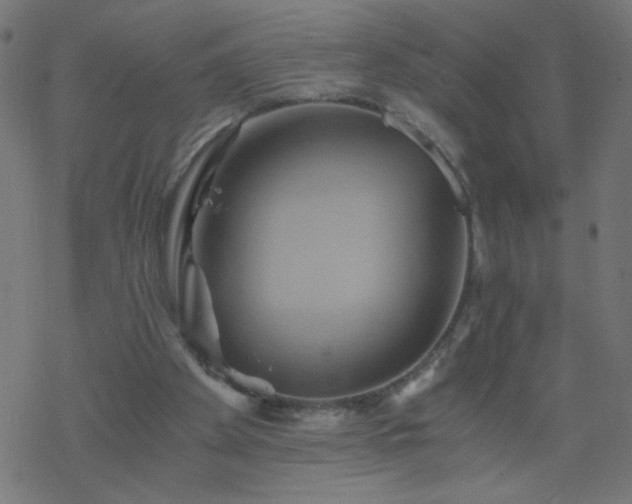 X0000068860105200605121927