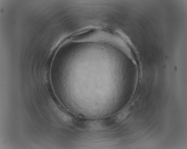 X0000068860106200605121927