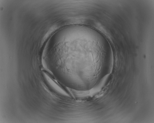 X0000068860107200605121927